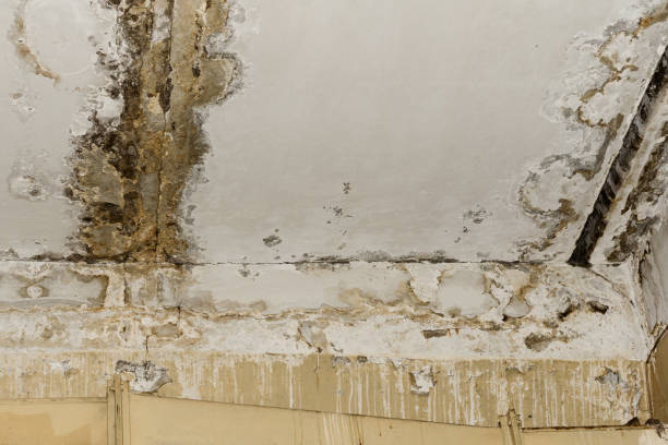 Asbestos and Lead Testing During Mold Inspection in Hull, IA
