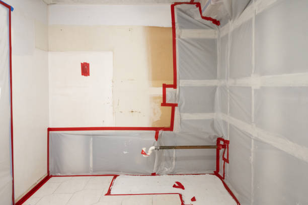 Best Environmental Consulting for Mold Prevention  in Hull, IA