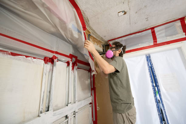 Best HVAC Mold Inspection and Cleaning  in Hull, IA